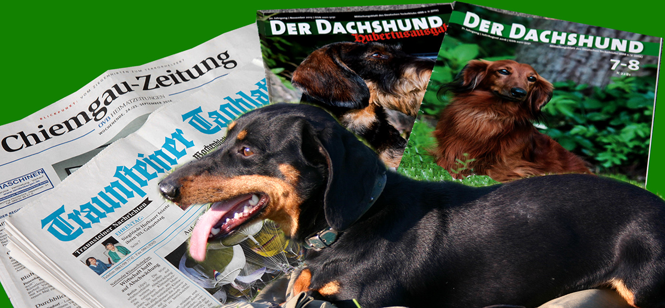 Neuigkeiten im Dackelclub