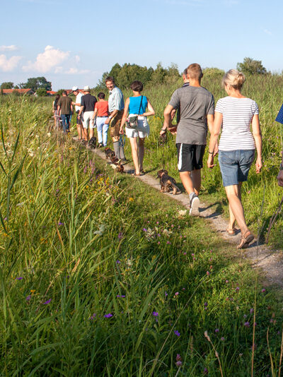 IMG_5964-Bearbeitet