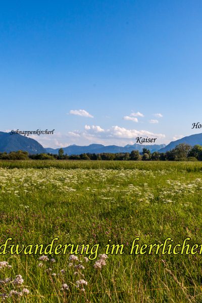 IMG_5986-Bearbeitet