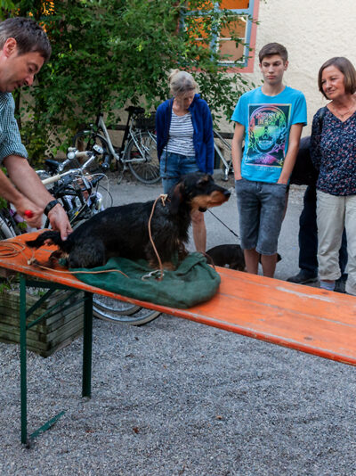 IMG_6037-Bearbeitet