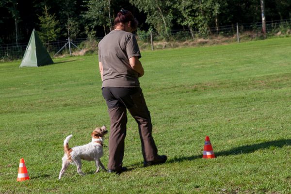 IMG_6478-Bearbeitet