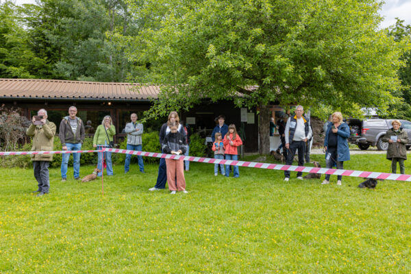 2025-05-17-112130 - Kopie - Kopie - Kopie