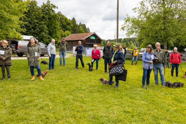 2025-05-17-112201 - Kopie - Kopie - Kopie