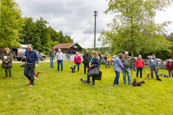 2025-05-17-112205 - Kopie - Kopie - Kopie