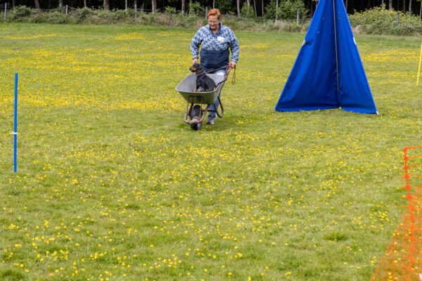 2025-05-17-112557 - Kopie - Kopie - Kopie