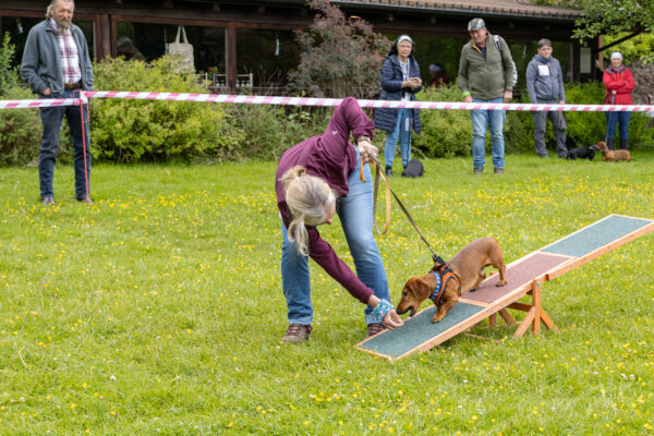 2025-05-17-113646-2 - Kopie - Kopie - Kopie
