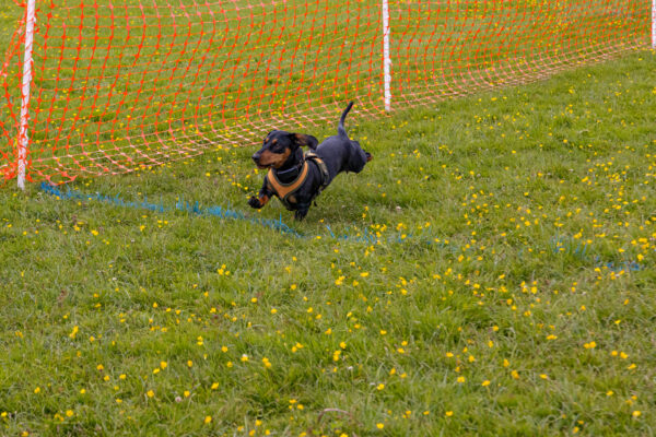 2025-05-17-114623 - Kopie (2) - Kopie