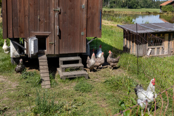 Thalhammer Müh.le Wanderung