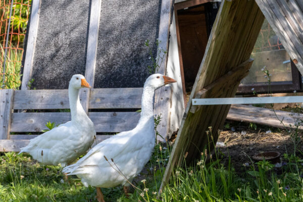 Thalhammer Müh.le Wanderung