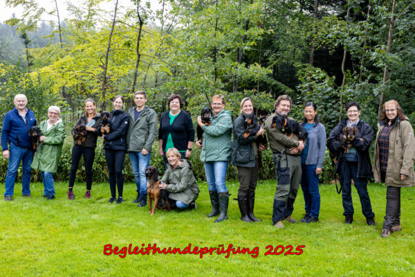 2025-07-26-141856-Bearbeitet-2