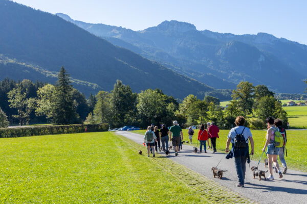 Dackelwanderung Aschau