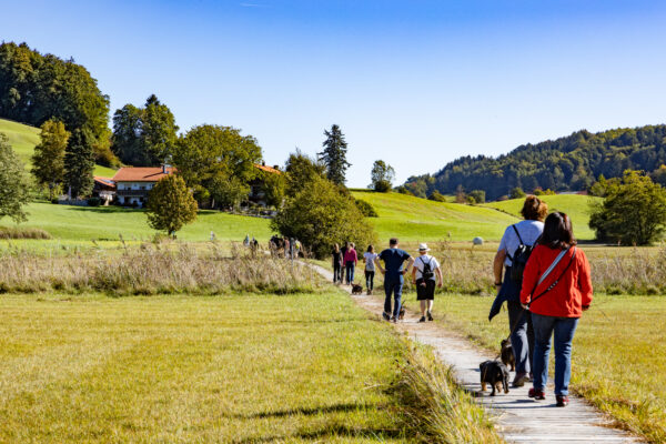 Dackelwanderung Aschau