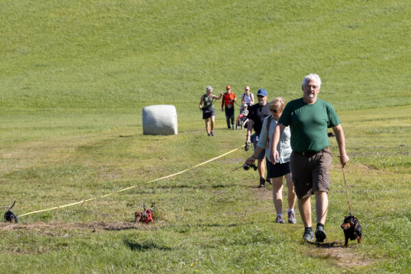 Dackelwanderung Aschau