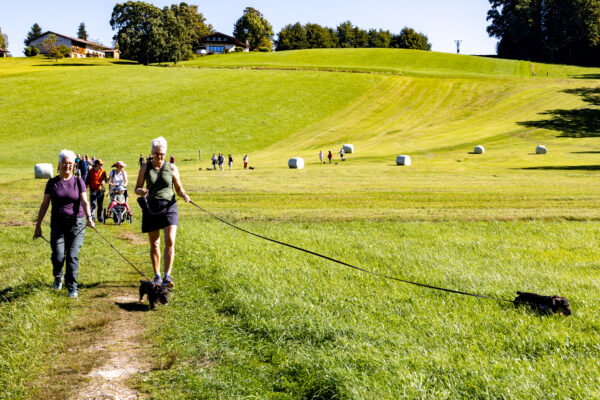 Dackelwanderung Aschau