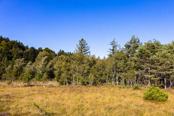 Dackelwanderung Aschau