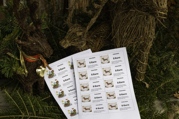 Dackel-Weihnachtsfeier 2025