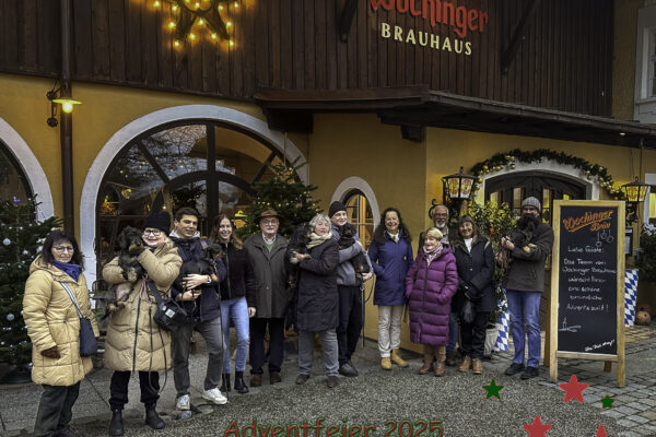 2025-12-13-155920-Bearbeitet