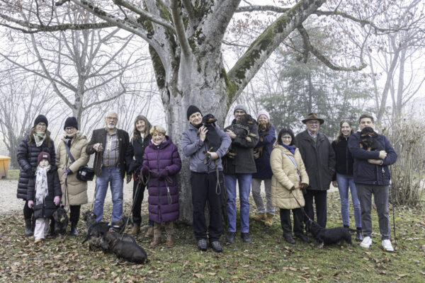 Dackel-Weihnachtsfeier 2025