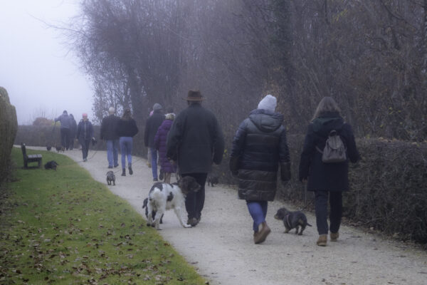 Dackel-Weihnachtsfeier 2025