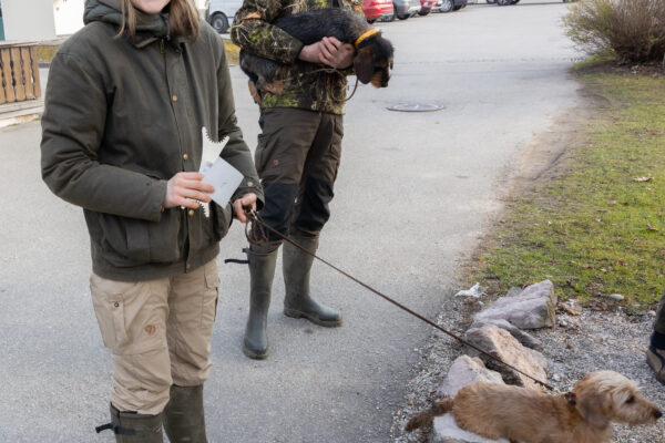 20260321-2026-03-21-091433-2