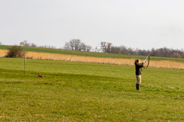 20260321-2026-03-21-092911-2