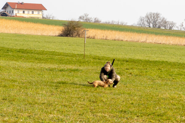 20260321-2026-03-21-092929-2