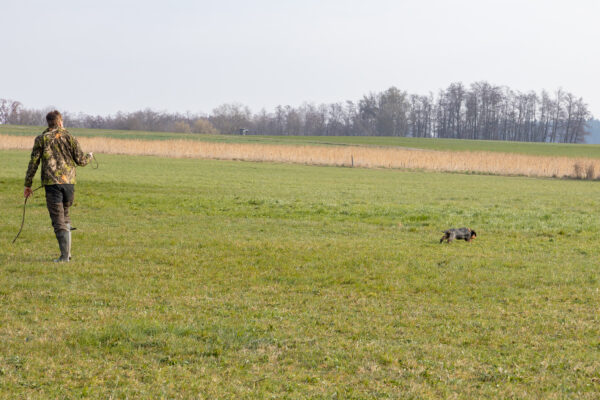 20260321-2026-03-21-093000