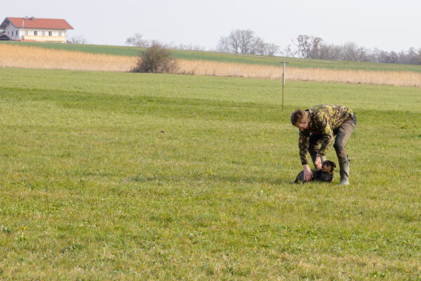 20260321-2026-03-21-093023-2