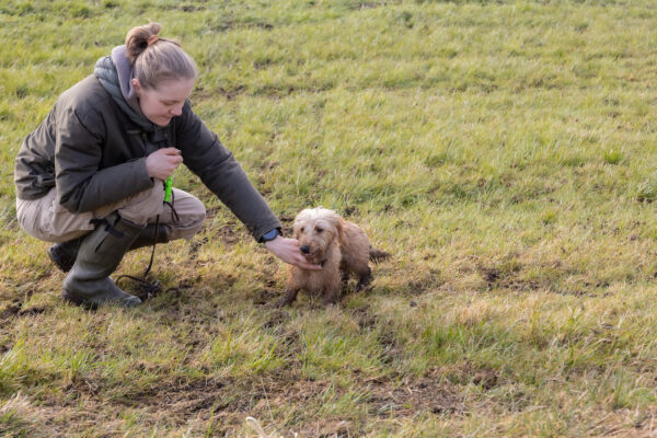 20260321-2026-03-21-094311