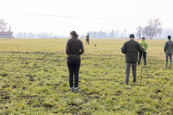 20260321-2026-03-21-095025