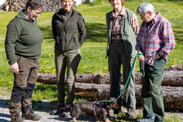 Schweißprüfung 2026