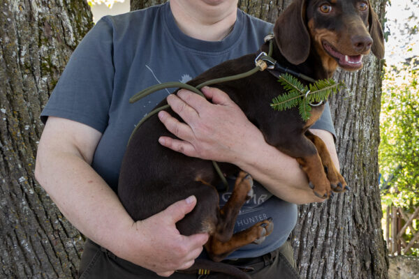 Schweißprüfung 2026