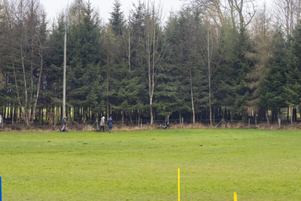 Training offene Klasse