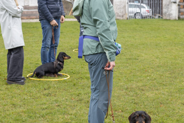 Training offene Klasse