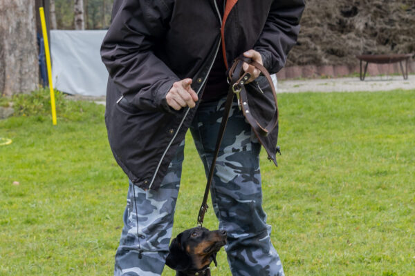 Training offene Klasse