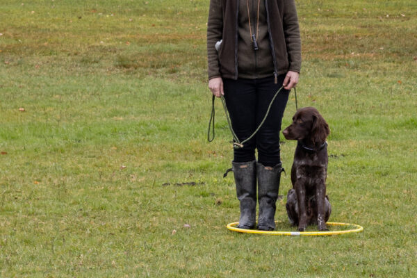Training offene Klasse