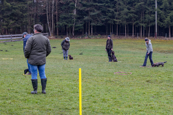 Training offene Klasse