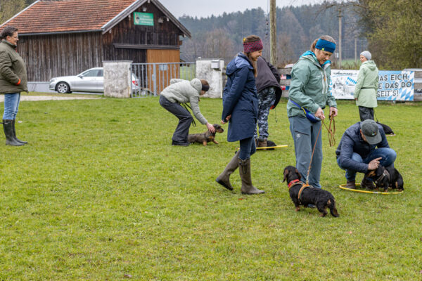 Training offene Klasse