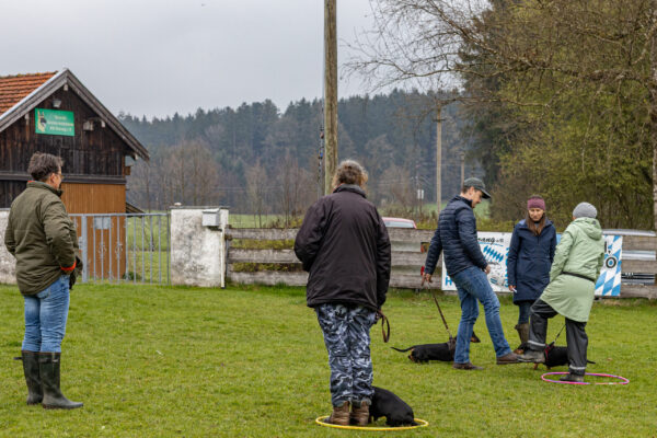 Training offene Klasse
