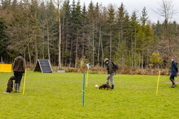 Training offene Klasse