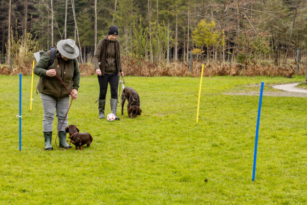 Training offene Klasse