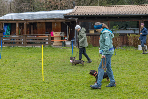 Training offene Klasse