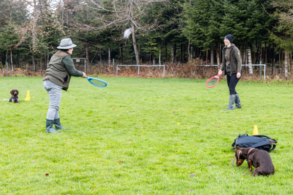 Training offene Klasse