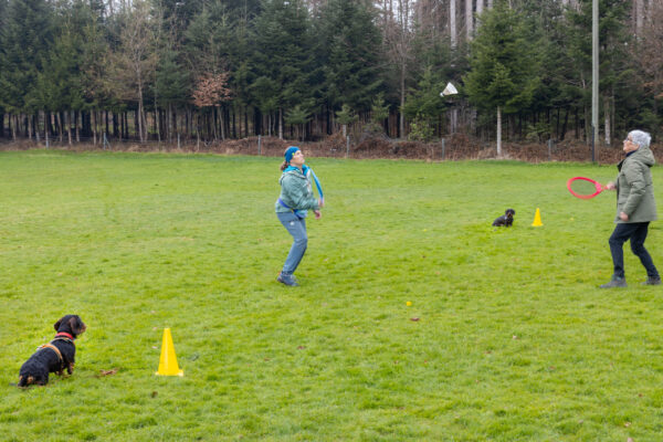 Training offene Klasse