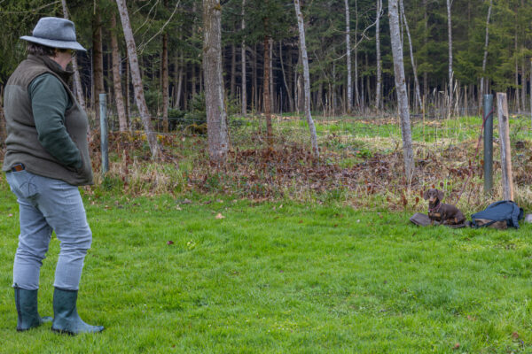 Training offene Klasse