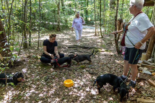 Dackelwanderung Fischgrillen