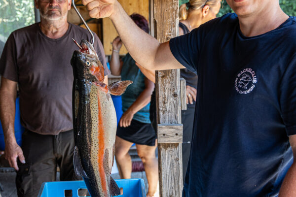 Dackelwanderung Fischgrillen