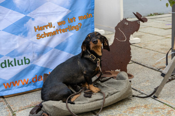 20260705-2026-07-05-140529 Kopie