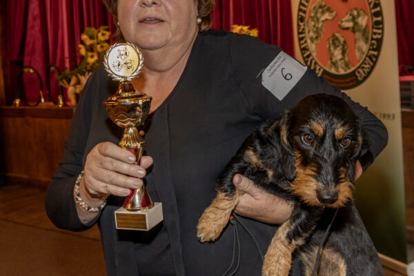 2026-10-11-114133 Kopie